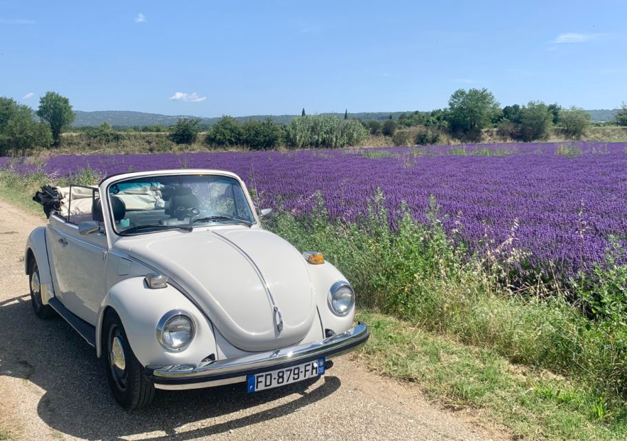 Explore Provence in a Volkswagen Beetle! - Included in Rental