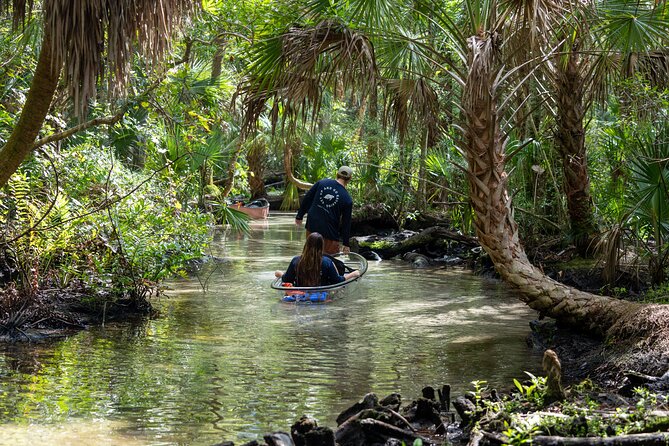 Explore The Chaz: Exclusive Clear Kayak Tours Near Crystal River - Transparent Kayaks and Underwater Vistas