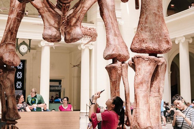 Field Museum of Natural History Admission Tickets - Visitor Experience