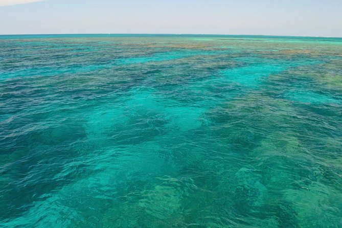 Florida Keys Reef Snorkel & Sail Adventure - Participant Requirements