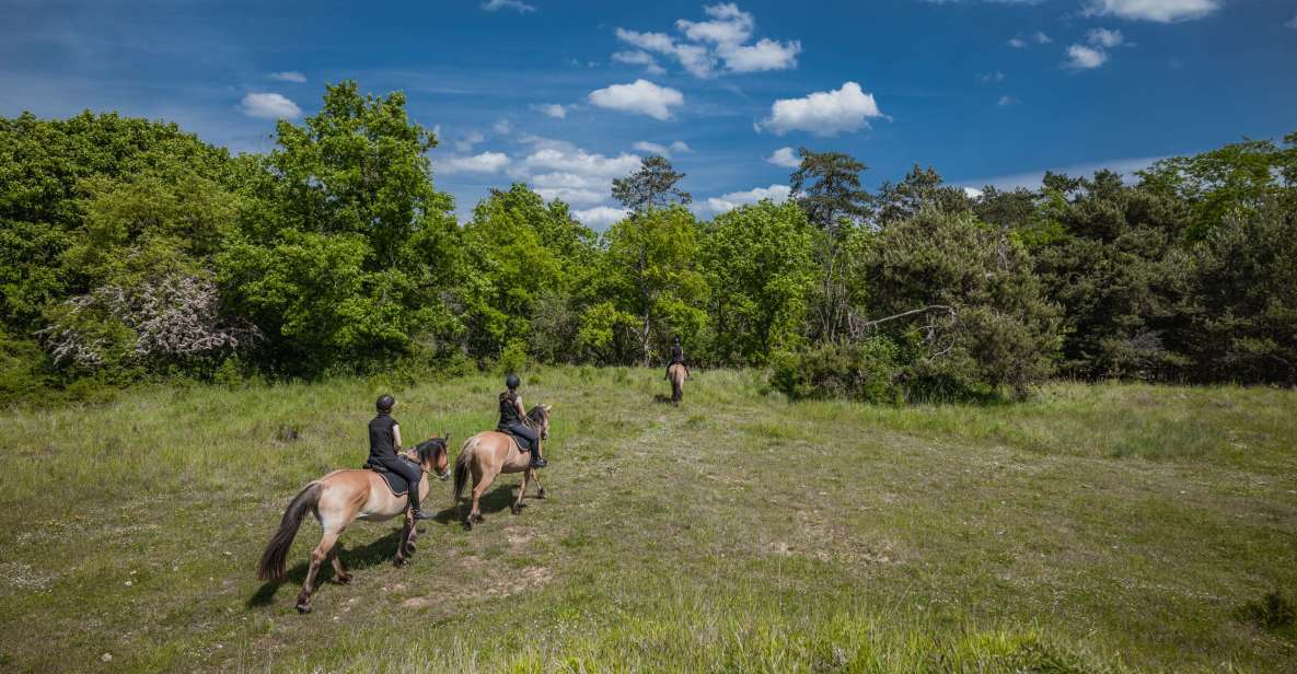 Fontainebleau: Horse-riding, Gastronomy & Château - Gastronomic French Lunch With Wine Tastings