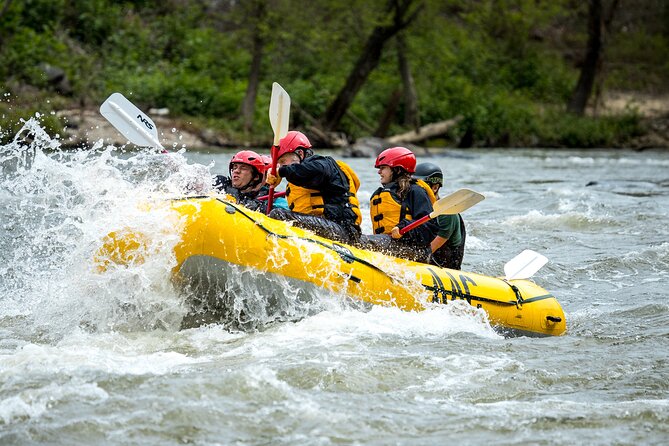 French Broad Gorge Whitewater Rafting Trip - Meeting Information
