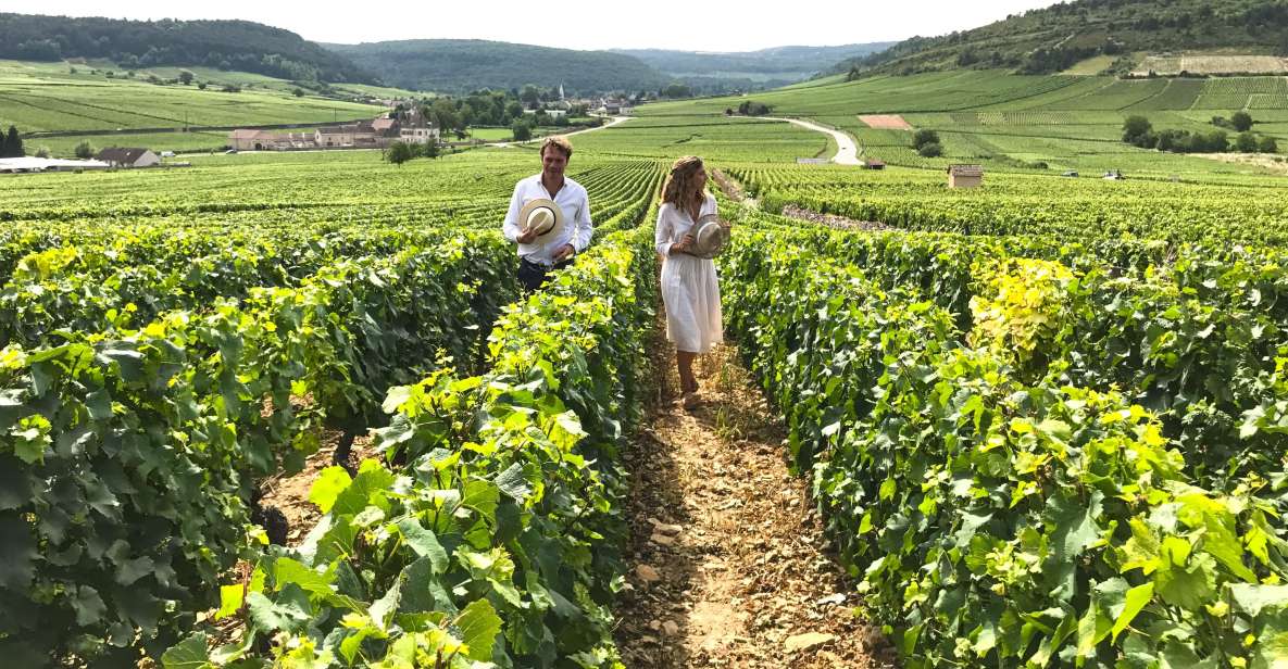 From: Dijon/Beaune: Burgundy Region Winery Tour With Lunch - Picturesque Landscape and Villages