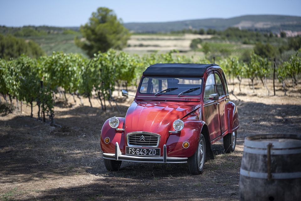 From Montpellier: Winery Tour in a Vintage Citroën 2CV - Winery Visits