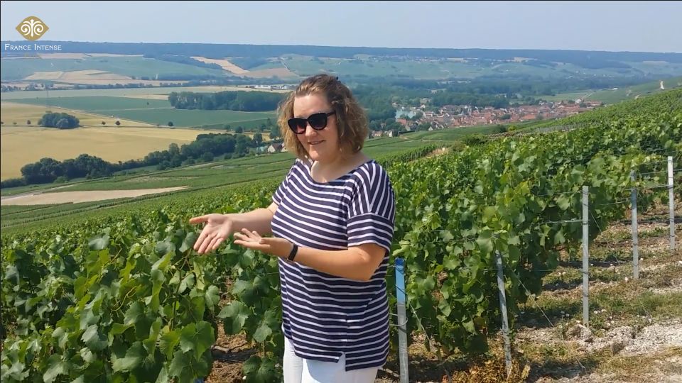 From Reims: Champagne Day Trip to Two Local Domains & Lunch - Exploring the Marne Valley
