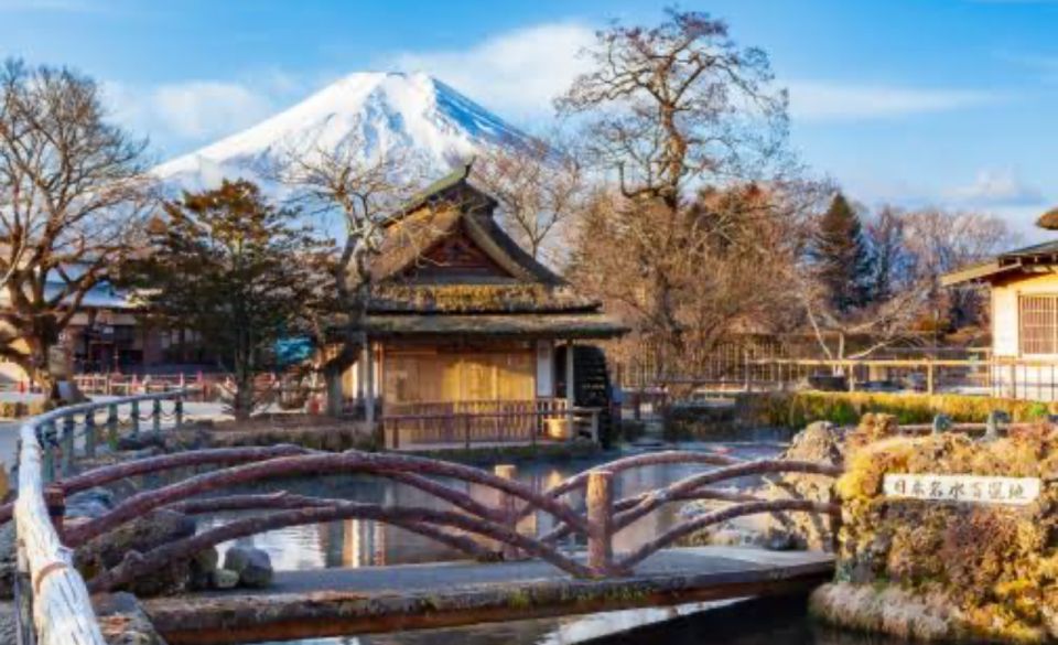 From Tokyo: Mount Fuji Full Day Private Tours English Driver - Inclusions and Exclusions