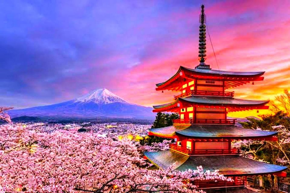 From Tokyo: Private Mount Fuji & Hakone Full-Day Guided Trip - Mount Fuji Experience