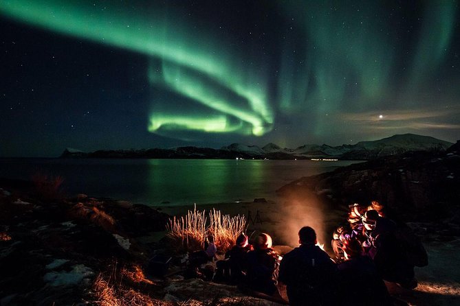 Full-Day Northern Lights Trip From Tromsø - Meeting and Pickup