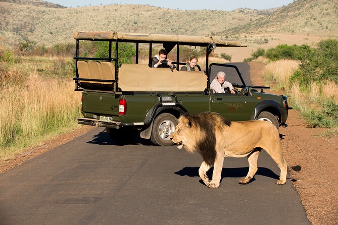 Full Day Pilanesberg Experience in Open Vehicle - Included Amenities and Features