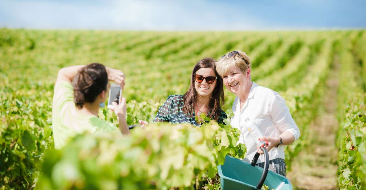 Full Day Pommery Small Group Tour - Itinerary Highlights