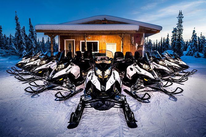 Guided Fairbanks Snowmobile Tour - Positive Guest Reviews