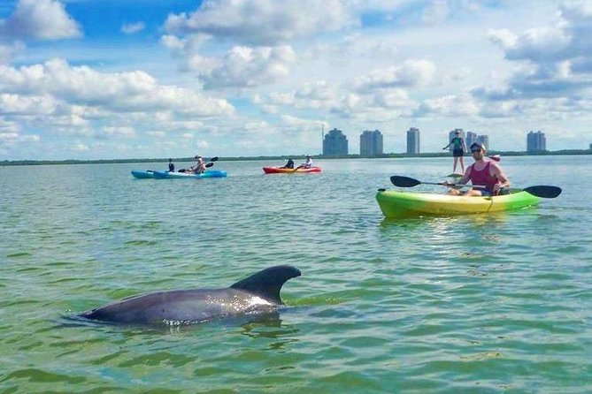 Guided Island Eco Tour - CLEAR or Standard Kayak or Board - Tour Details