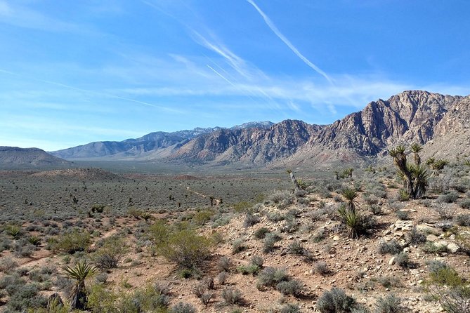 Guided Mountain Bike Tour of Mustang Trail in Red Rock Canyon - Requirements for Participants