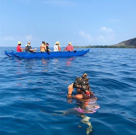 Guided Outrigger Canoe Tour in Kealakekua Bay - Tour Details