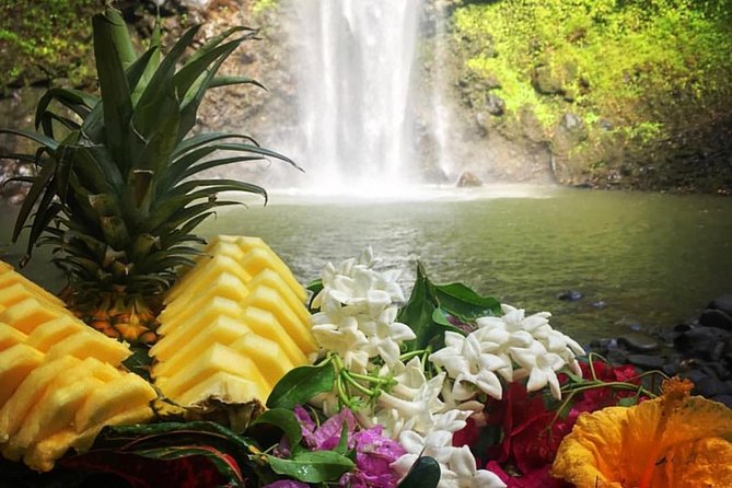 Half-Day Kayak and Waterfall Hike Tour in Kauai With Lunch - Preparing for the Adventure