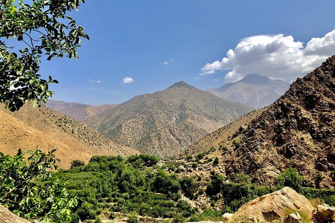 Half Day Tour From Marrakech to the Atlas Mountains & Ourika Valley - Ourika Valley Exploration