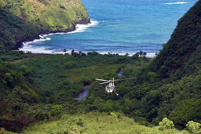 Hana Rainforest Helicopter Flight With Landing From Maui - Exploration of the Wailua Valley