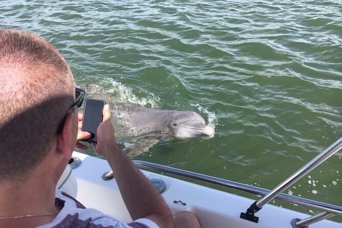 Hilton Head Island Dolphin Boat Cruise - Meeting and End Points
