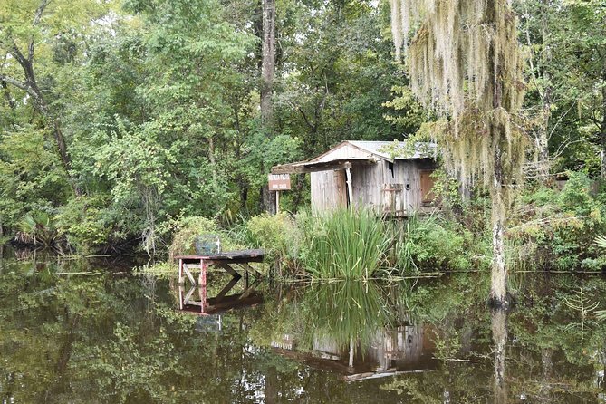 Jean Lafitte 90-Minute Swamp and Bayou Boat Tour - Tour Experience