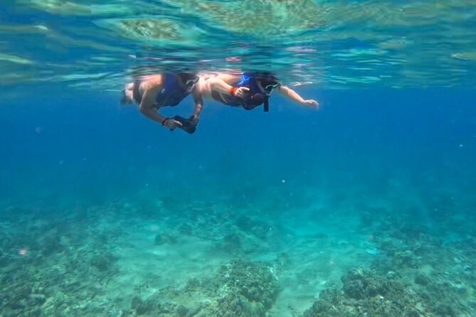 Jet Snorkeling in Turtle, Dolphin and Monk Seal Bay - Meeting and Pickup Location
