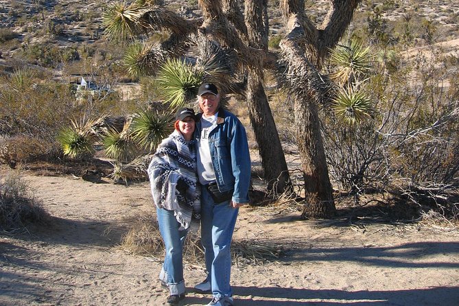 Joshua Tree National Park Air-Conditioned Tour - Native American History