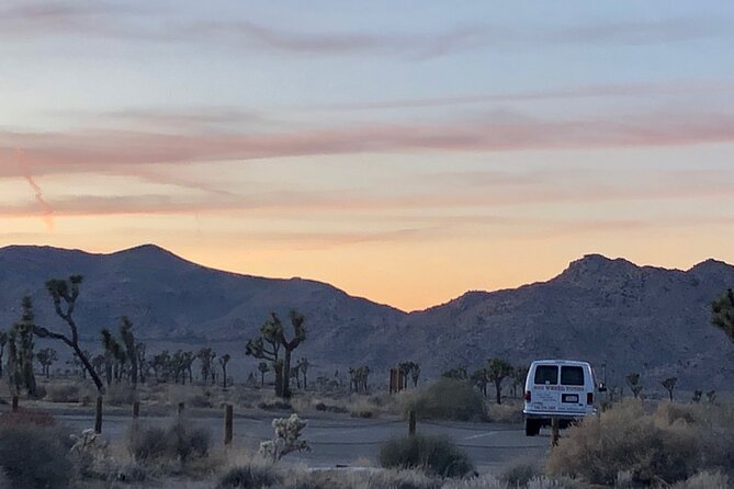 Joshua Tree National Park Driving Tour - Tour Details and Inclusions
