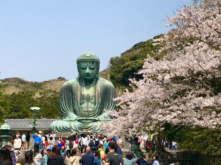 Kamakura & Yokohama: Highlight Tour in English - Panoramic City Views