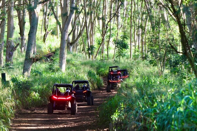 Kauai ATV Backroads Adventure Tour - Additional Info