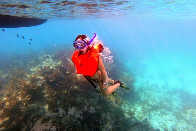 Key Largo Two Reef Snorkel Tour - All Snorkel Equipment Included! - Pricing and Availability