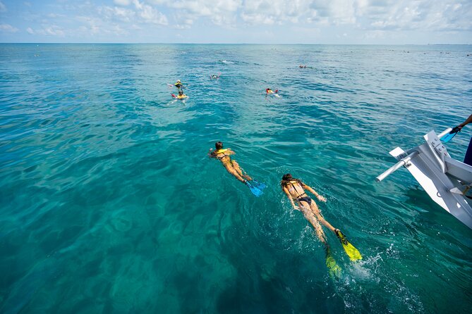 Key West Full-Day Island Ting Eco-Tour: Sail, Kayak and Snorkel - Alcoholic Beverages