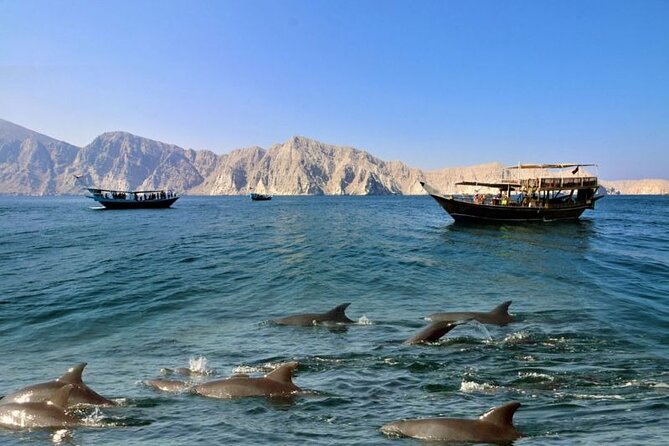 Khasab Musandam Full Day Dhow Cruise With Lunch and Snorkeling - Convenient Meeting and Pickup Options