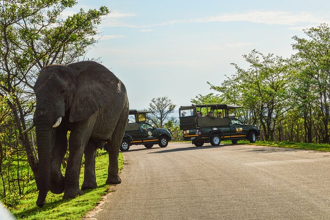 Kruger National Park Full Day Private Safari - Whats Included