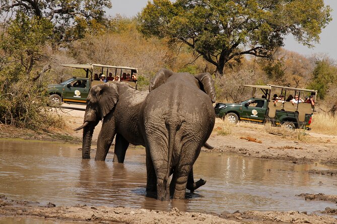 Kruger National Park Sunrise Morning Private Safari - Meeting and Pickup Details