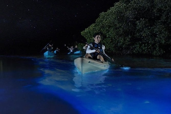 Mangrove Tunnel, Manatee and Dolphin Kayak Tour of Cocoa Beach - Positive Guest Reviews