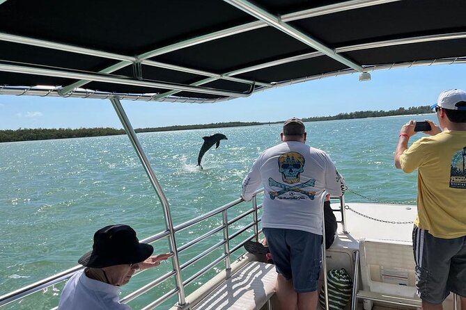 Marco Island Dolphin Sightseeing Tour - Additional Information
