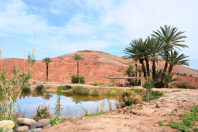 Marrakech Desert Buggy Tour Including Berber Tea Break and Transfer - Additional Information