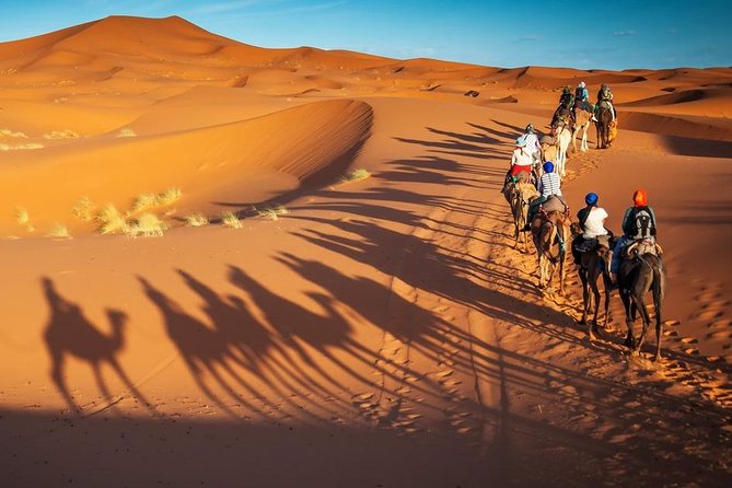 Marrakech to Fez via Merzouga Desert 3 Day Morocco Sahara Tour - Transportation Arrangements