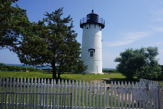Marthas Vineyard Day Trip With Optional Island Tour From Boston - Ferry Trip and Wildlife Sighting