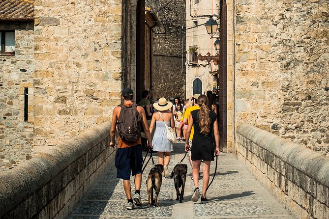 Medieval Three Villages Small Group Day Trip From Barcelona - Besalús Medieval Charm
