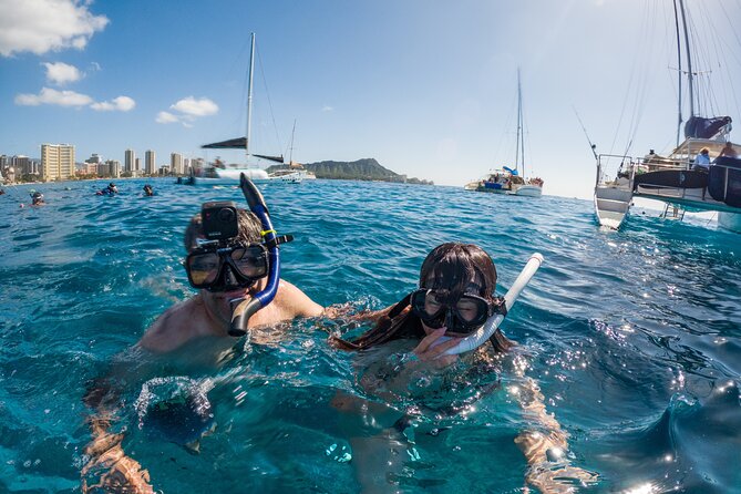 Moana's Guided Turtle Snorkel & Sailing Adventure at Waikiki - Morning and Afternoon Tour Options Available