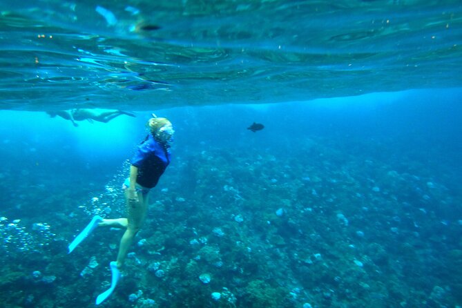Molokini Crater Snorkeling Adventure - Additional Information