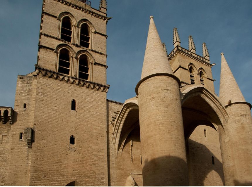 Montpellier - Private Historic Walking Tour - Pricing and Booking
