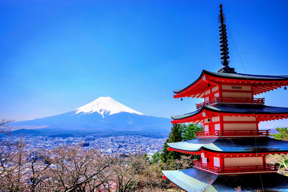 Mount Fuji and Hakone Full Day Private Tour - Oshino Hakkai