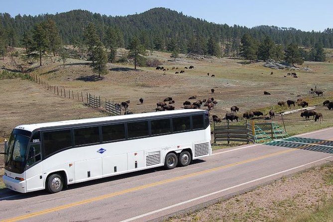 Mount Rushmore and Black Hills Bus Tour With Live Commentary - Accessibility and Requirements