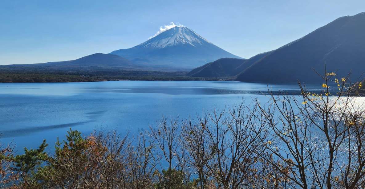 Mt Fuji and Hakone Private Tour With English Speaking Driver - Optional Activities
