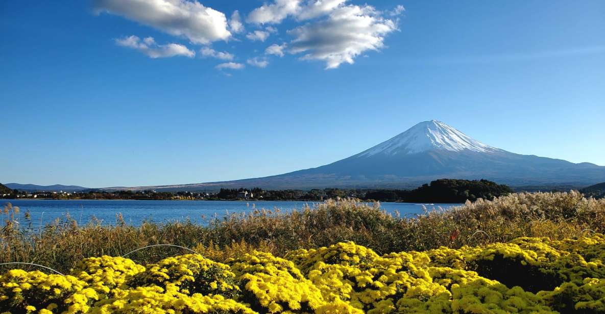 Mt Fuji: Full Day Private Tour With English Guide - Included Services