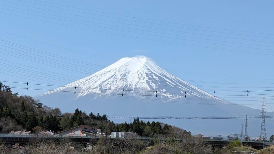 Mt Fuji & Hakone: Sightseeing Private Day Tour With Guide - Included Services
