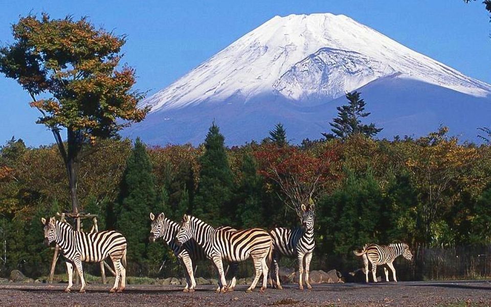 Mt Fuji : Highlight Tour and Unforgettable Experience - Highlights