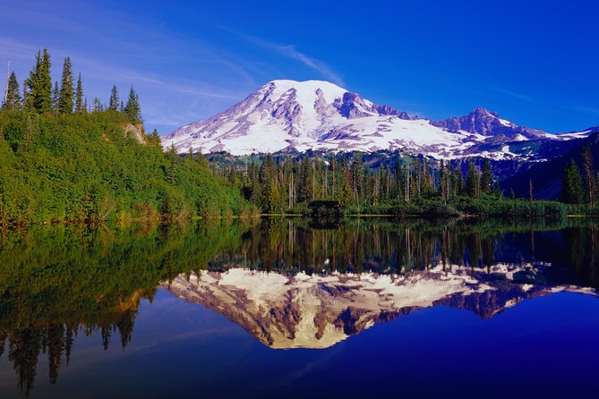 Mt. Rainier Day Tour From Seattle - Traveler Reviews