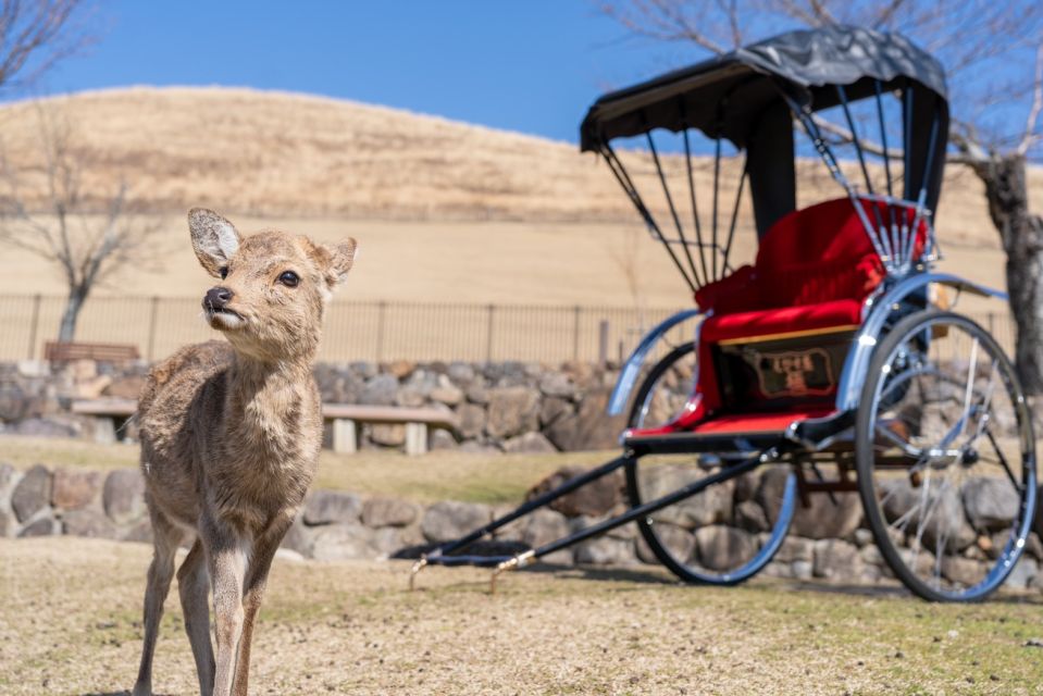 Nara: Cultural Heritage Tour by Rickshaw - Exploring Unkei Buddhist Statue
